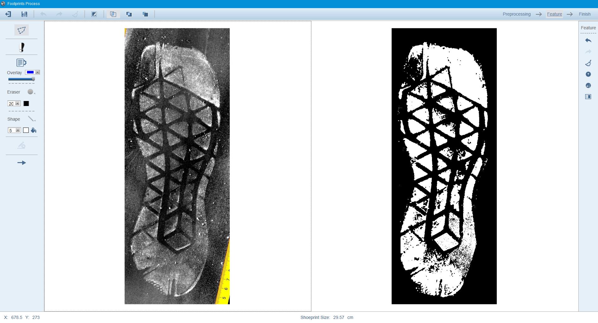 The Evolution and Application of Shoeprint Evidence