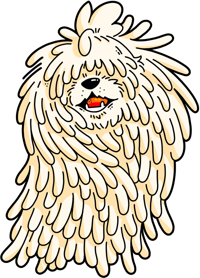 LOBO Dog Grooming Austin TX
