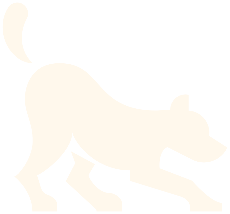 LOBO Dog Grooming Austin TX