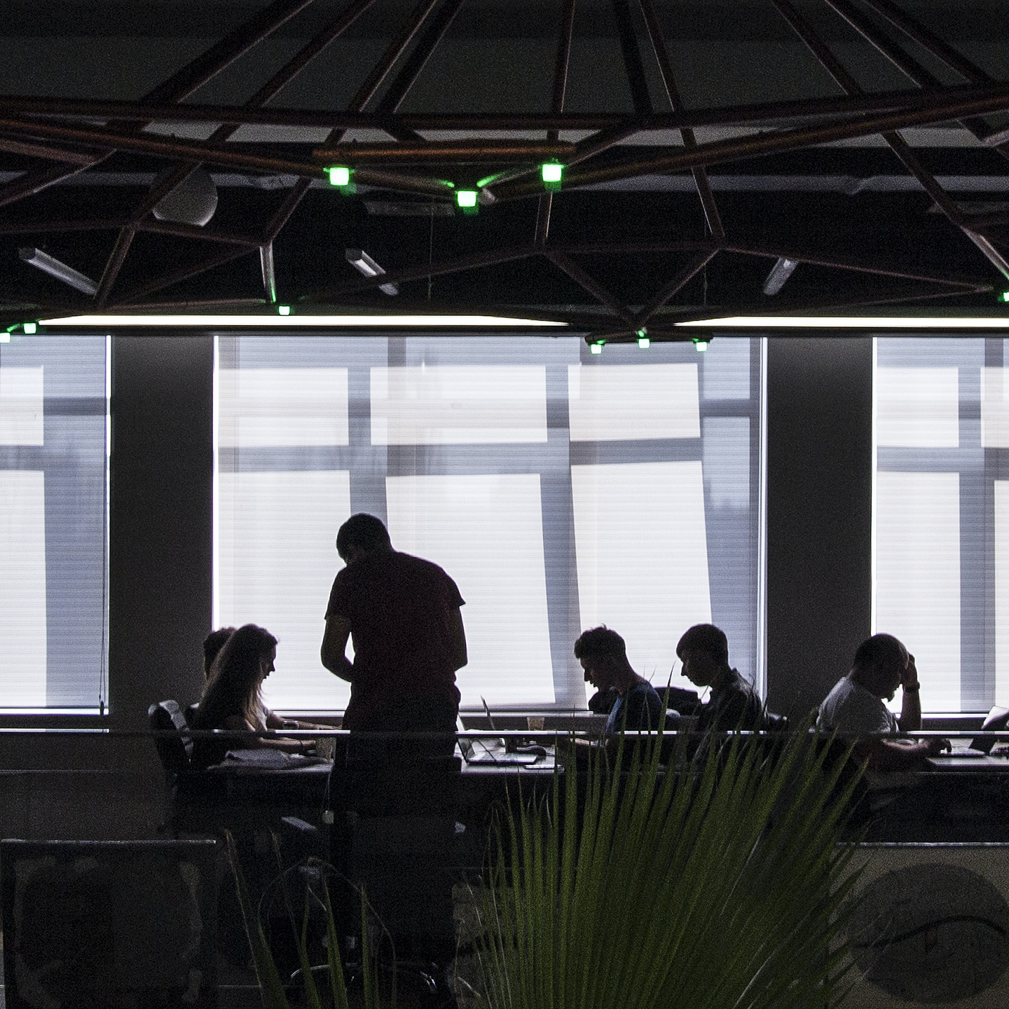 Start up employees at work