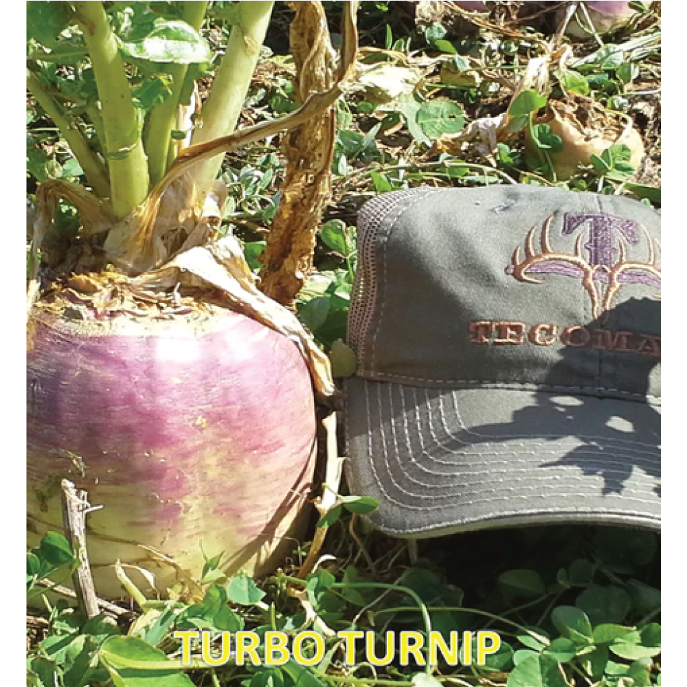 Turbo Turnip Food Plot Seed Jade Seed & Outdoor Supply