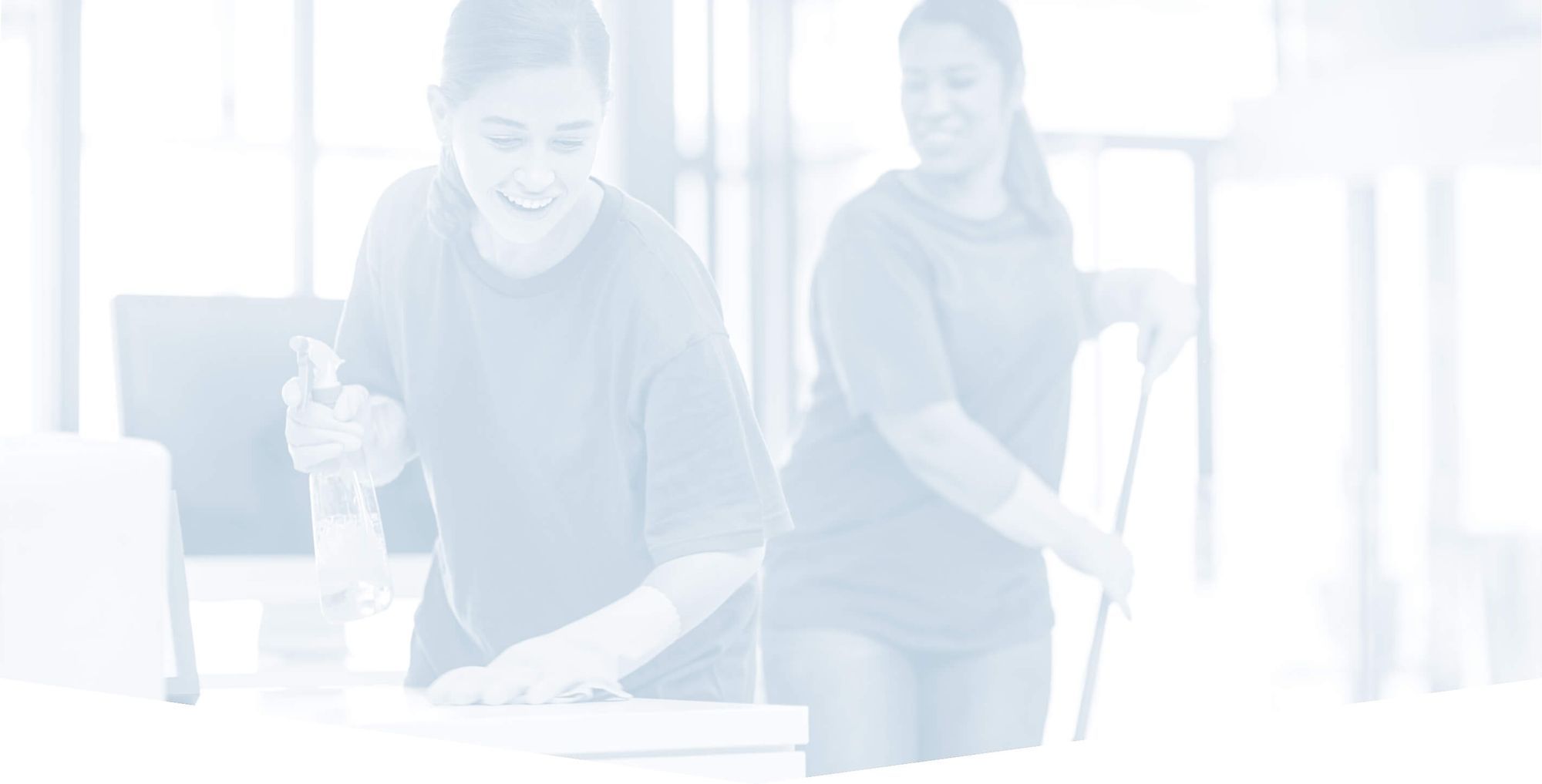 Commercial Carpet Cleaning Services in Chester