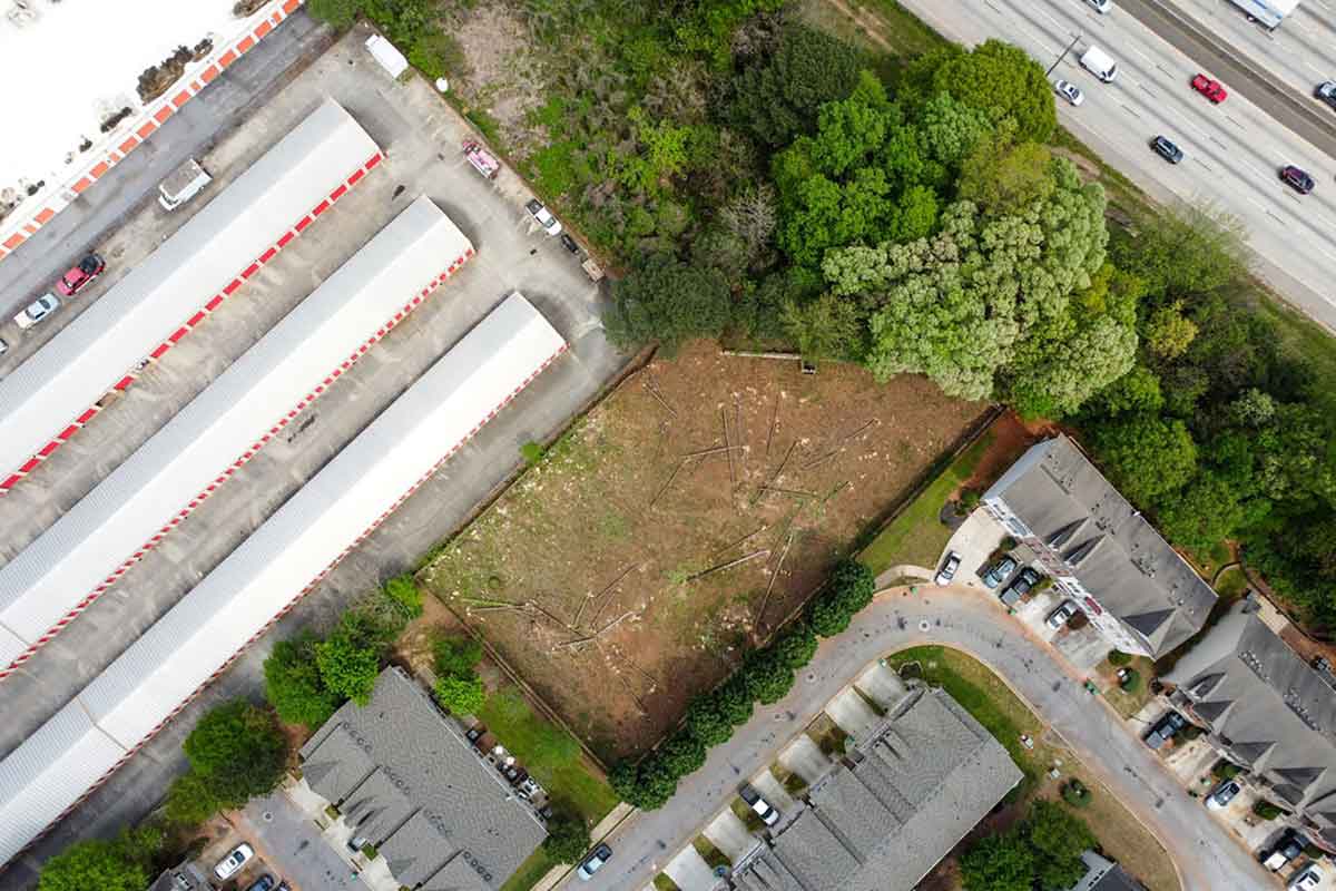 Tree Service Atlanta Arborists EastLake Tree Services