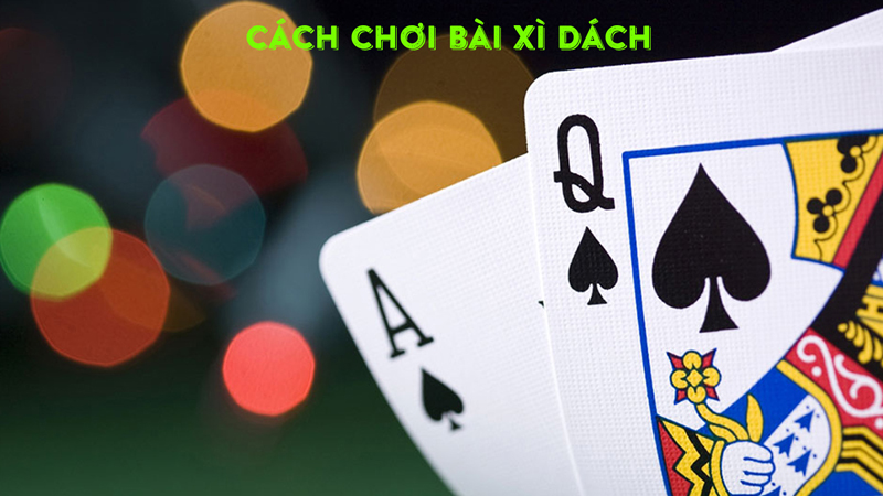 Tìm hiểu về cách chơi và luật chơi xì dách