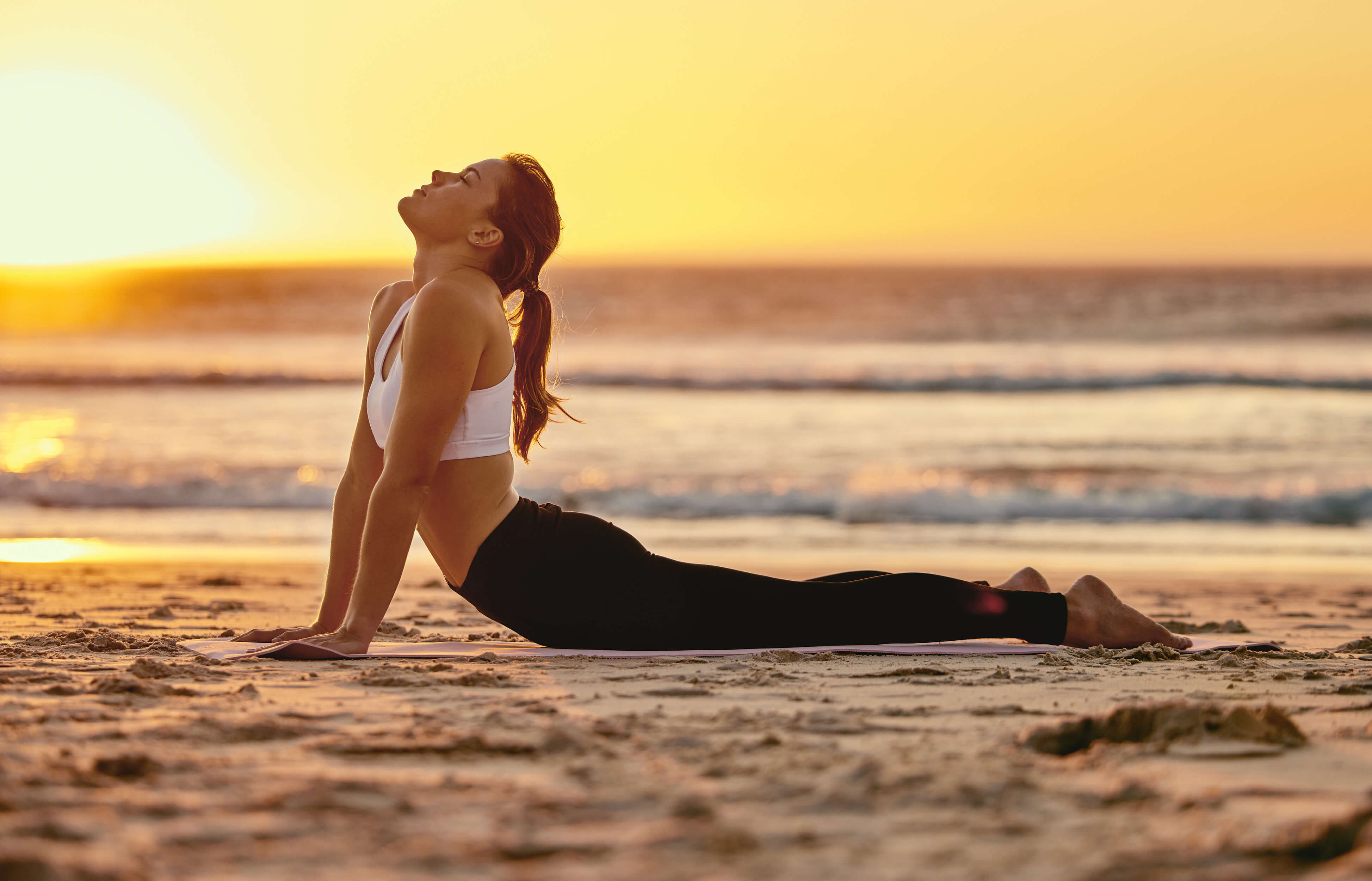 Healthy Living Services — Black Book Concierge · Ibiza