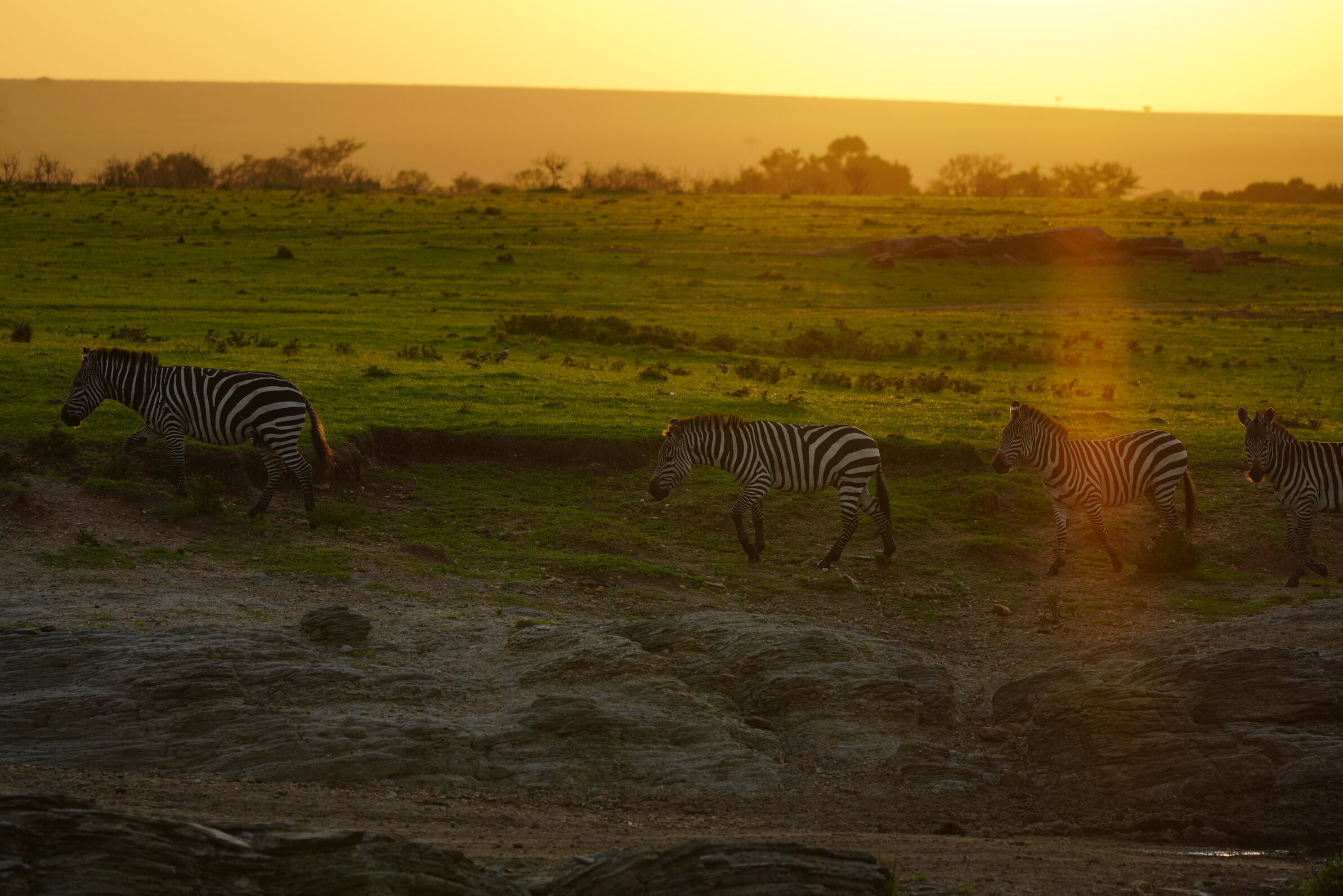 64878c7613e17d7ded0e25ac DSC00502%20(2)