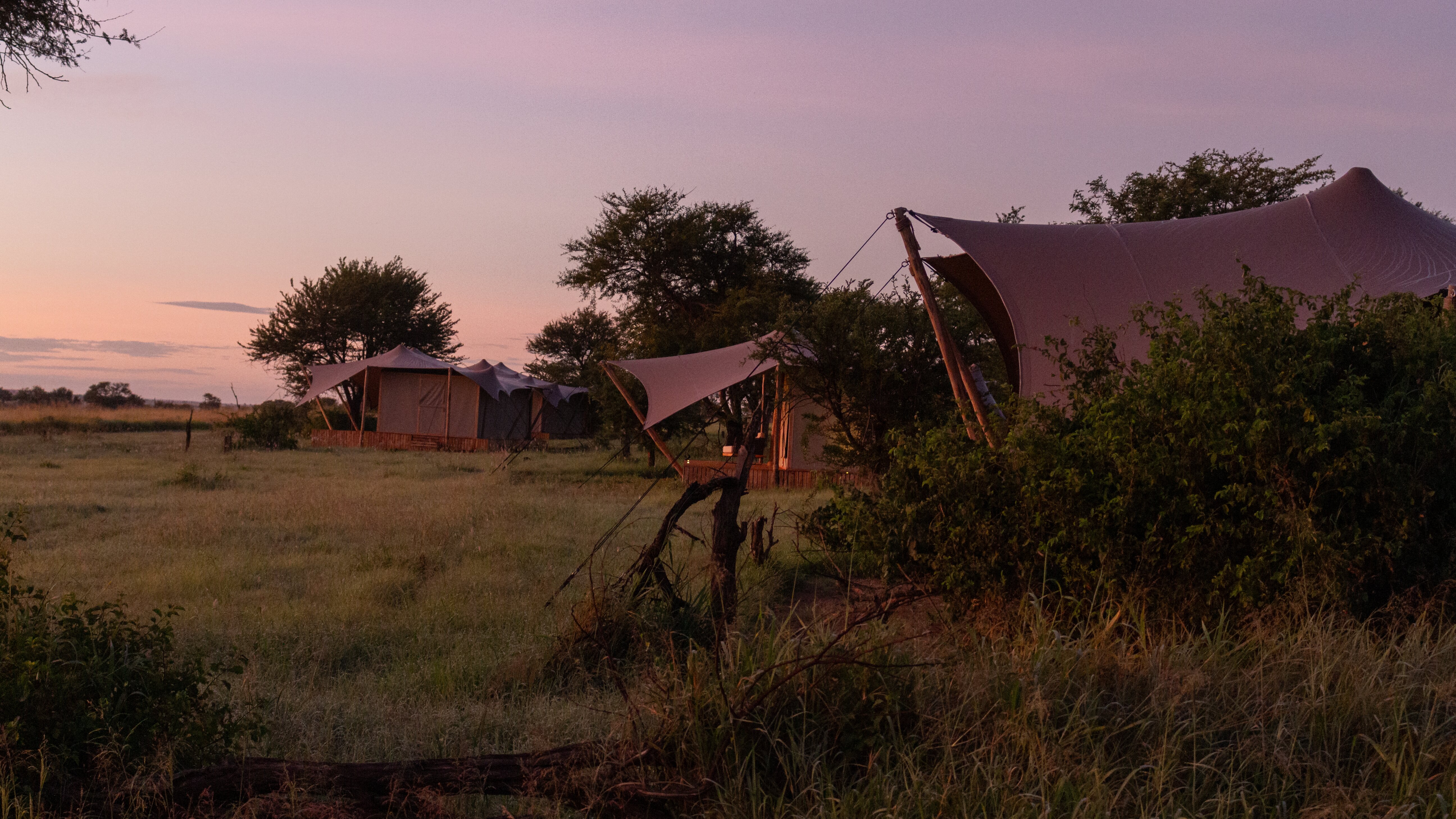 65f9ac75299b797413acef79 IMG 0063%20(1)