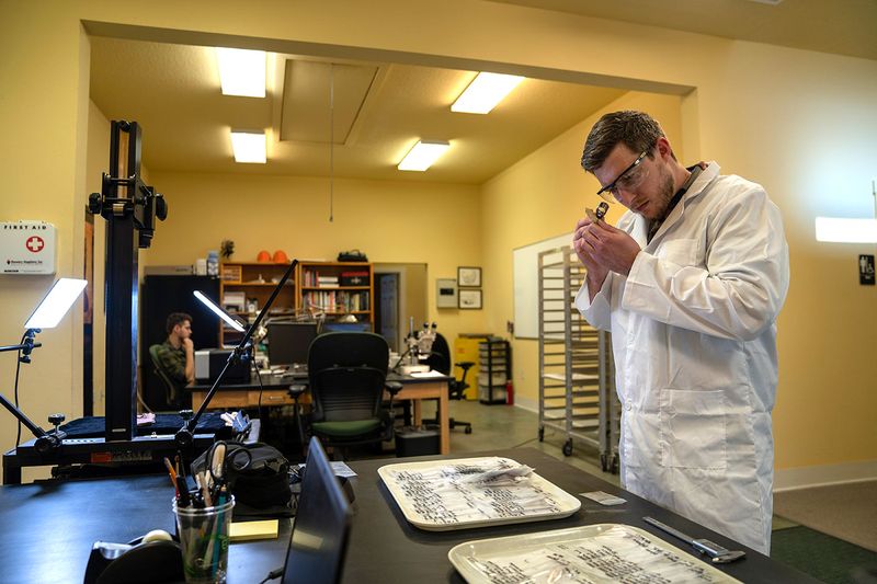 Forensic Archaeology · Search Inc.