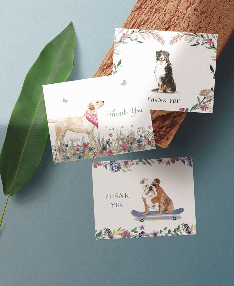 3 greeting cards with illustrated dogs placed on an orange rock and a green leaf.