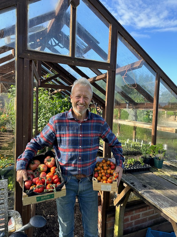 I am holding the first beef tomatoes 16th July, and cherry tomatoes from the polytunnel