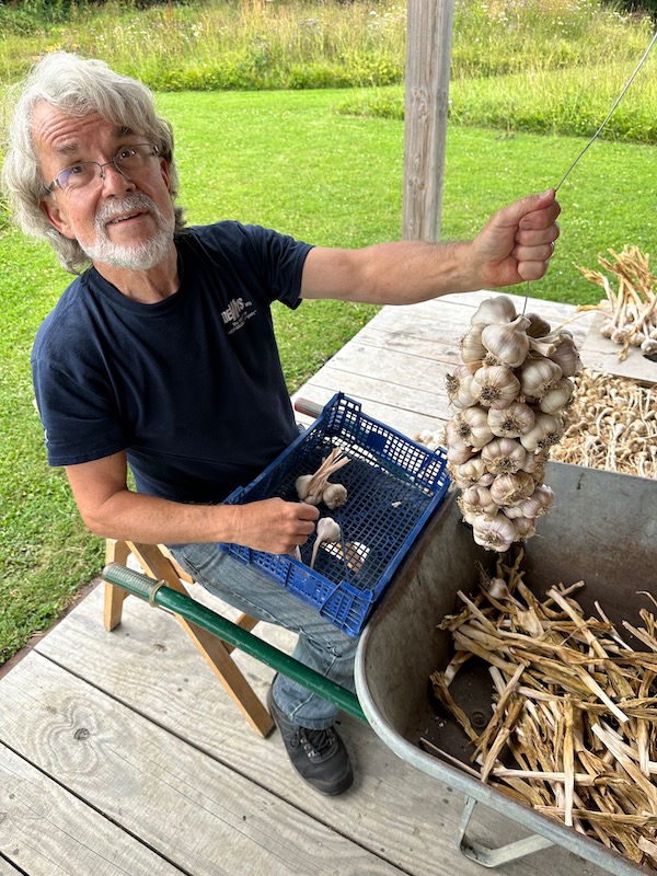 John Szymczak has helped here for ten days, here putting garlic on a wire