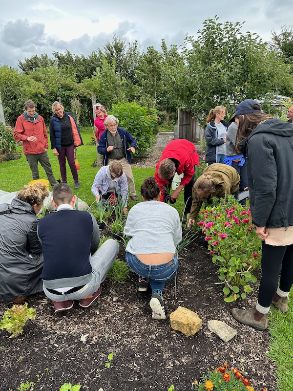 Course group planting leeks between wild rocket. Both are under mash, against flea beetle, and allium leaf miner respectively