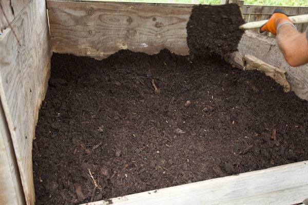 Homeacres compost at nine months old and it's certainly good to use at this stage, does not need to be perfectly fine. We are making lots of compost now to have plenty in autumn.