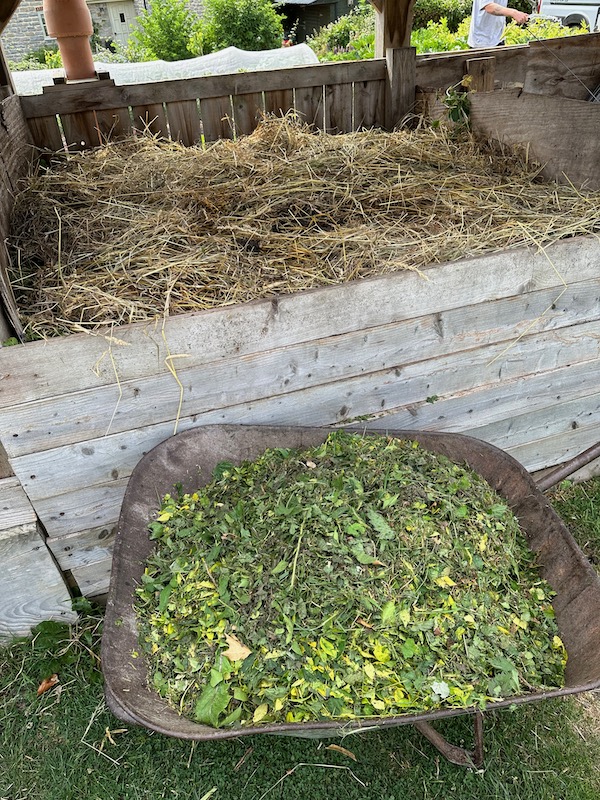 We're about to add mown hedge prunings, and have just added urine-soaked hay from the compost toilet