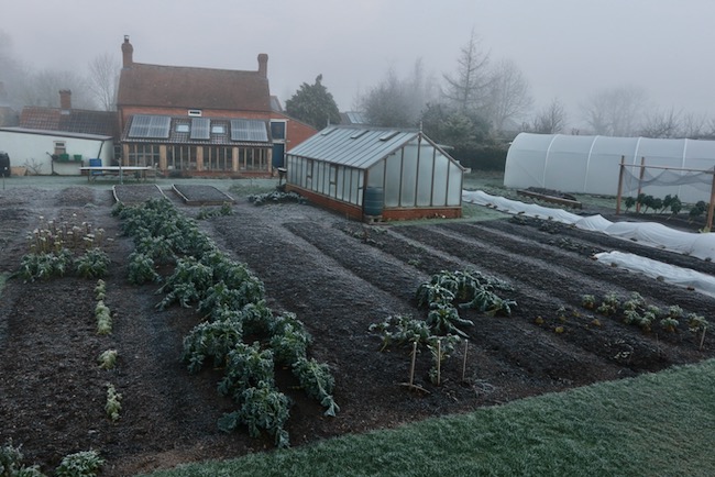 No dig beds winter Charles Dowding