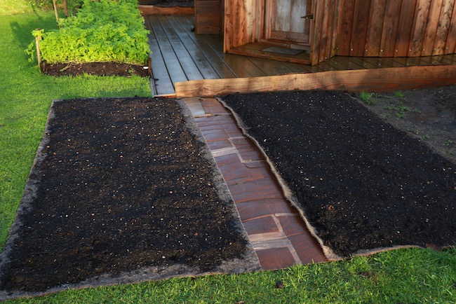 New beds 2in compost on wool mulch