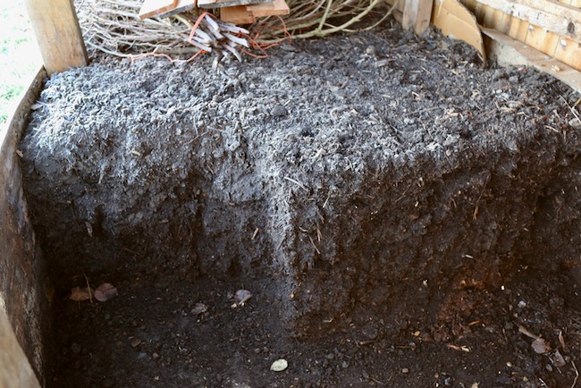 Homemade compost 8 months old