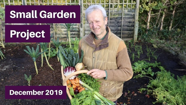 Small garden video thumbnail