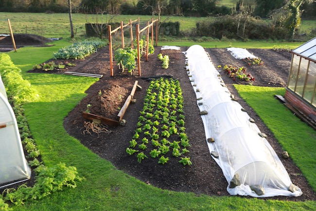 Winter garden video thumbnail