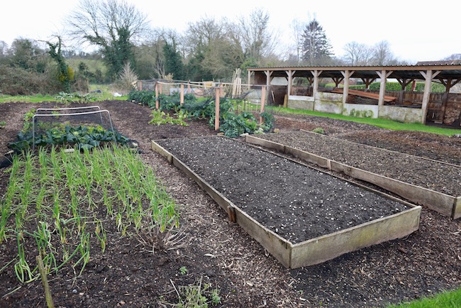 Same view February, beds ready for new plantings soon