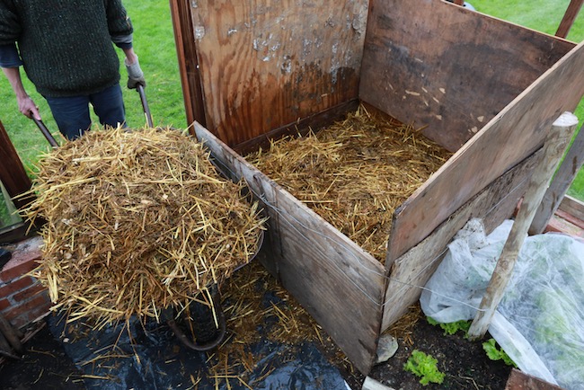 Wheelbarrow of fresh horse manure