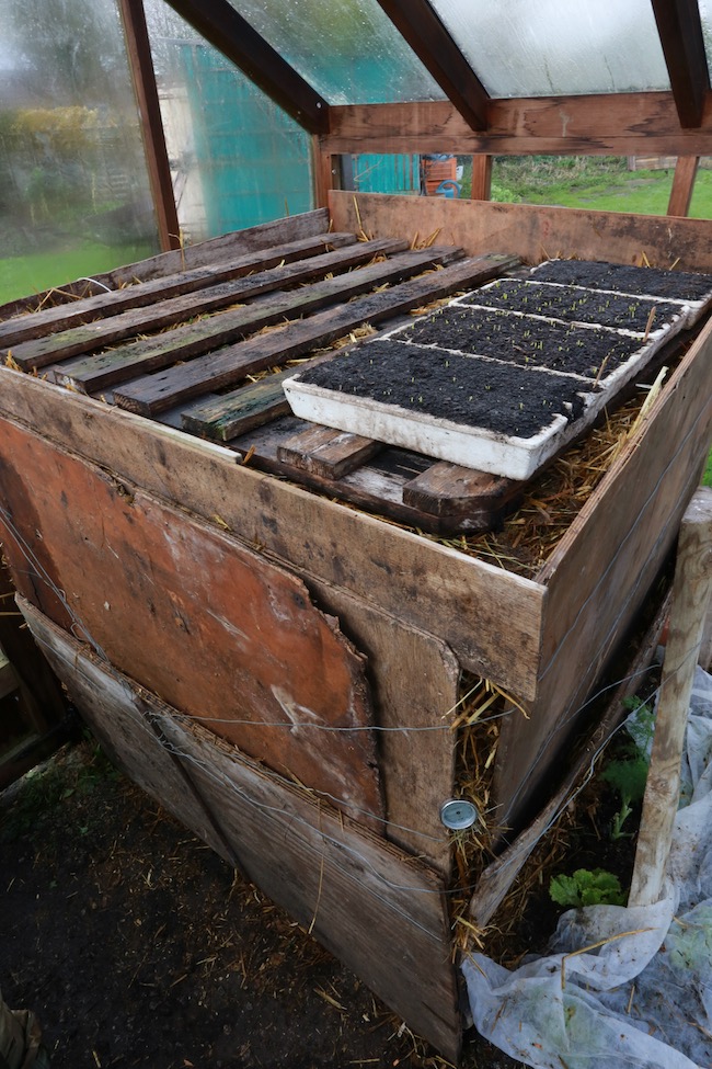 Frame to support seedlings