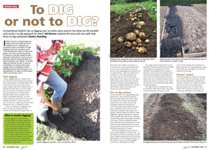 To_dig_or_not_to_dig_December_2009