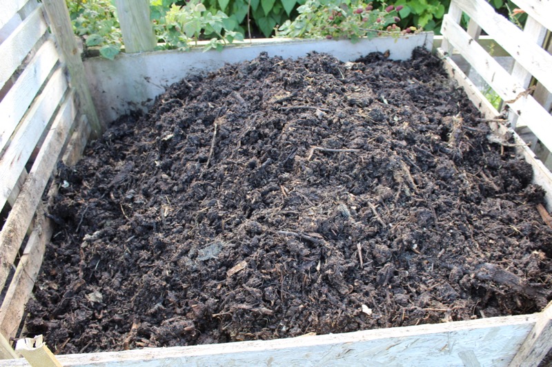 aug15 compost turned, 4 months old