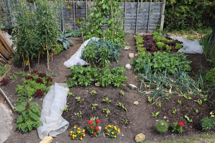 Charles Dowding no dig garden