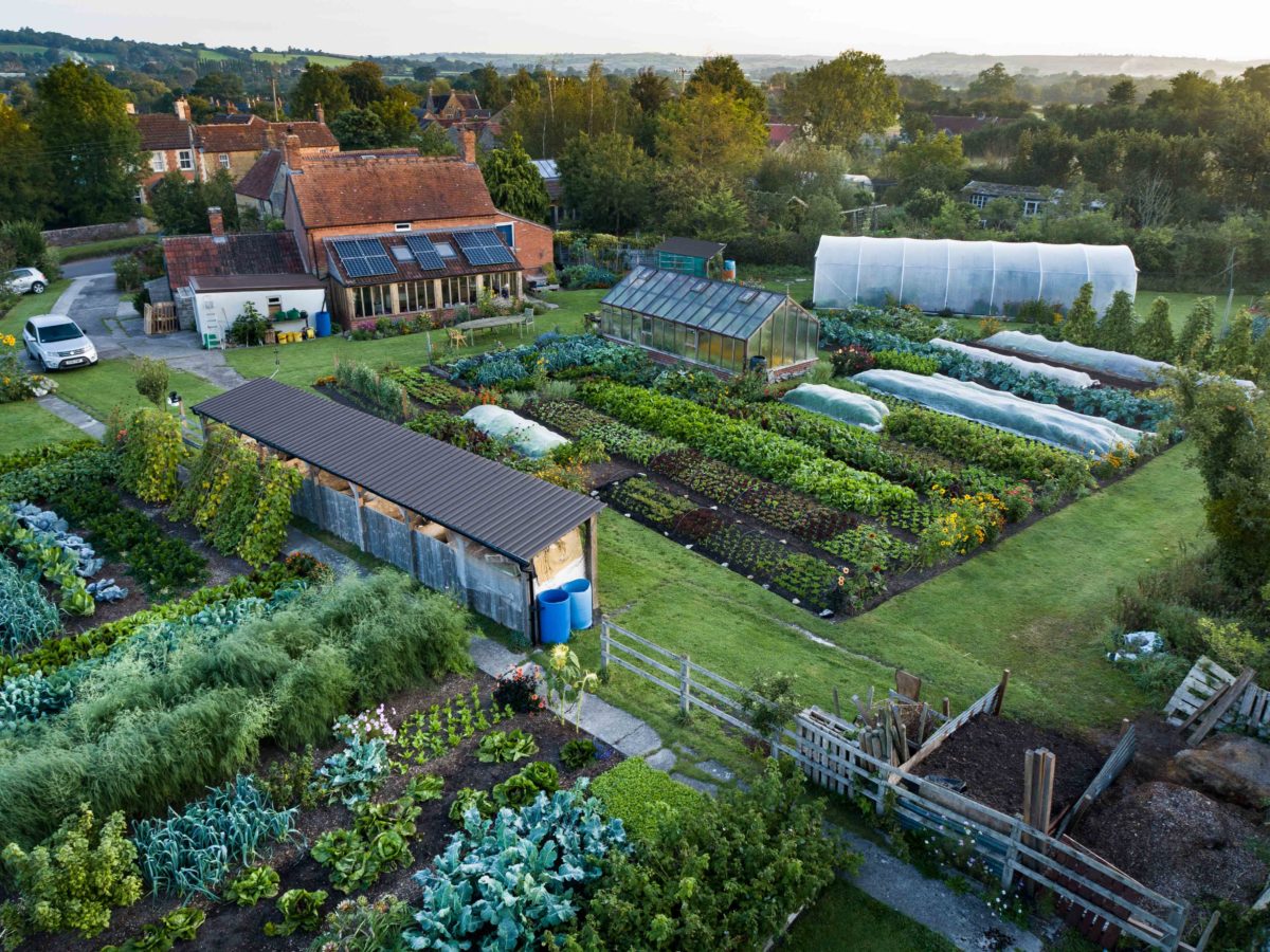 Drone view no dig garden