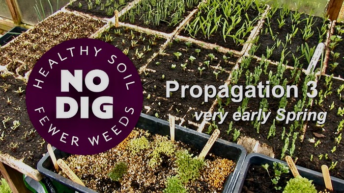 Video thumbnail about propagation