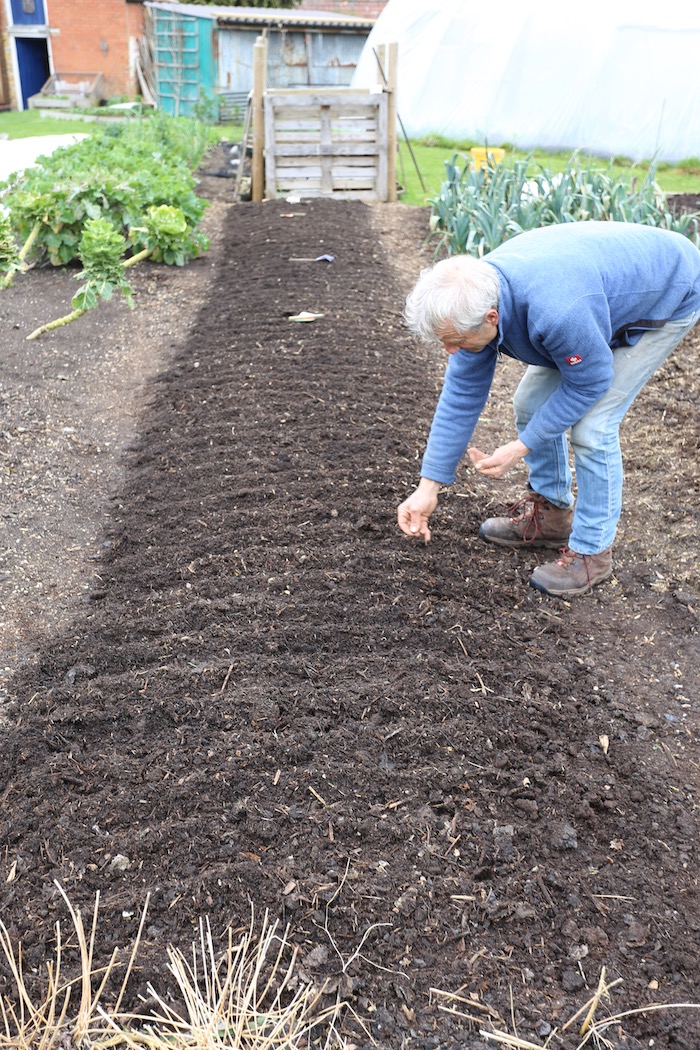 Charles sowing carrot seeds