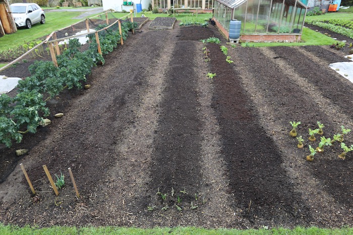 No dig beds, no slugs