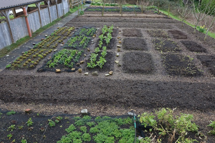 Tidy garden mid March ready to plant