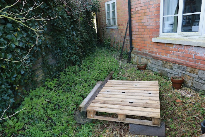 Johnson Su bioreactor 2