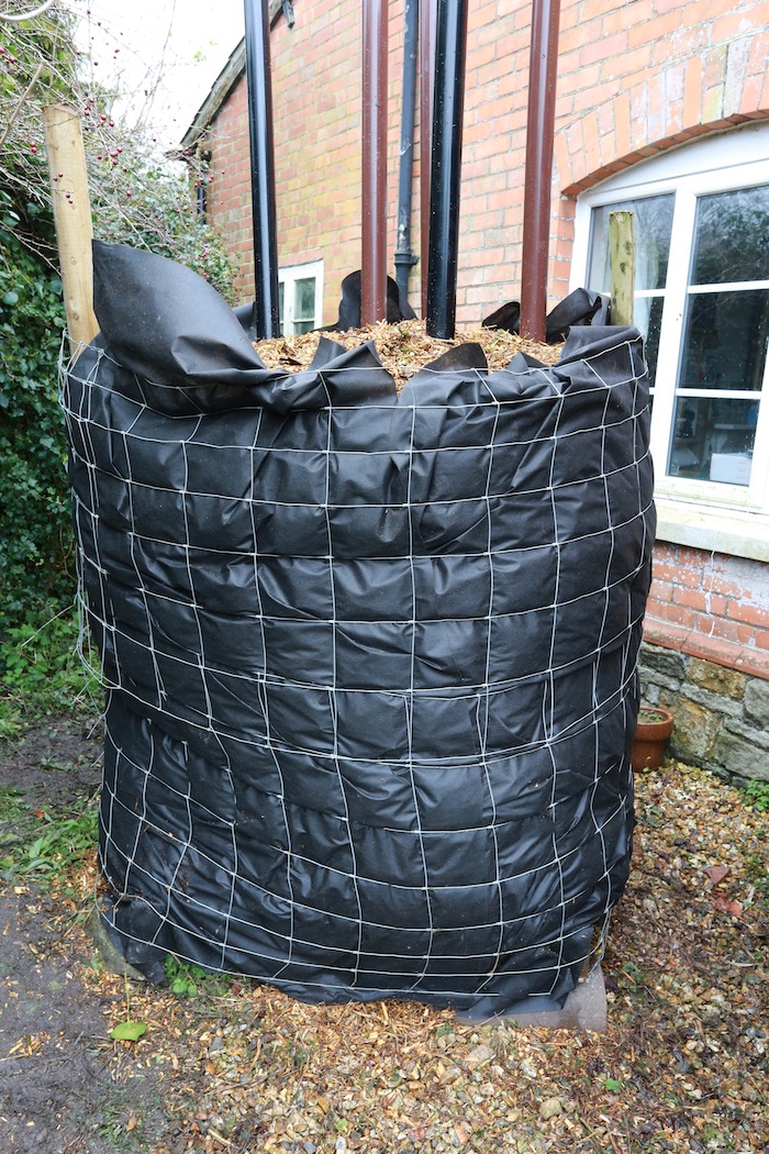 Johnson Su bioreactor 6