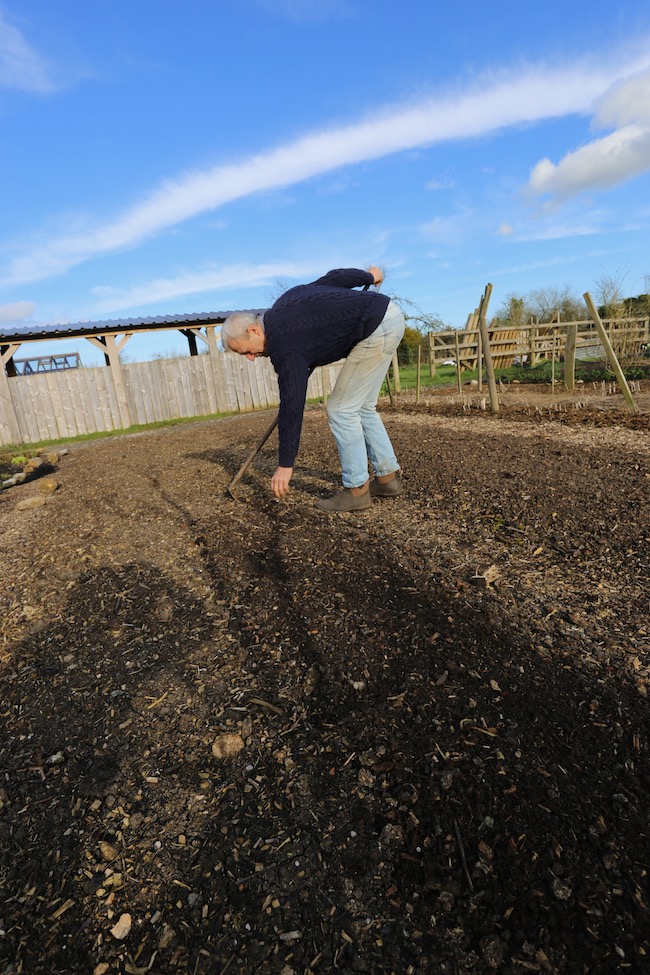 CHarles pulls tiny weed seedling