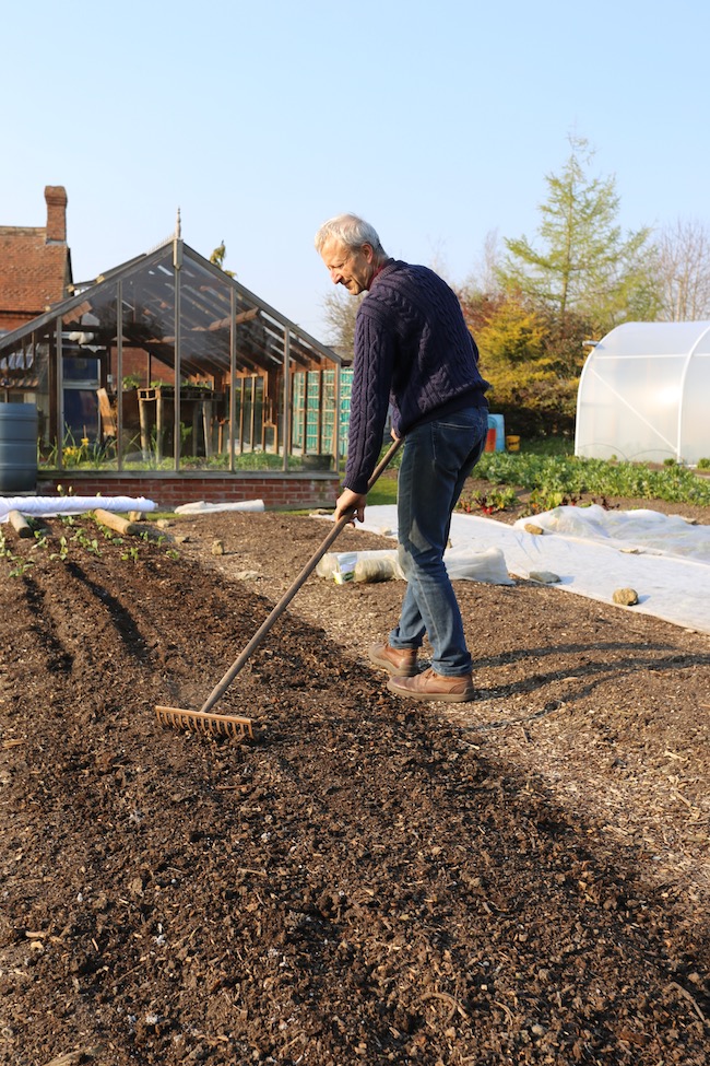 Charles raking to cover new sowing