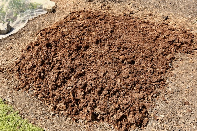 One year old horse manure and wood flake bedding