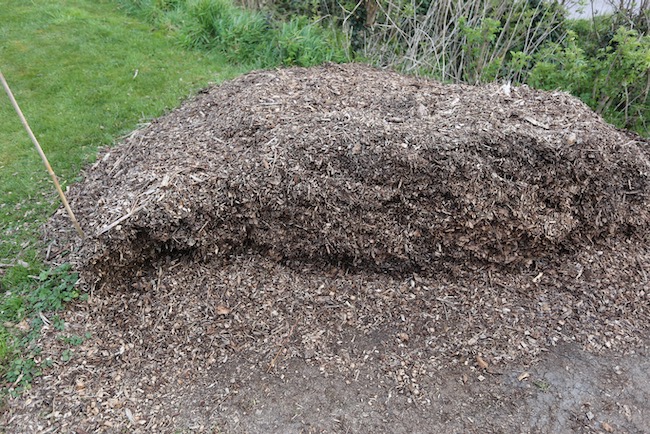 Seven month old wood chips