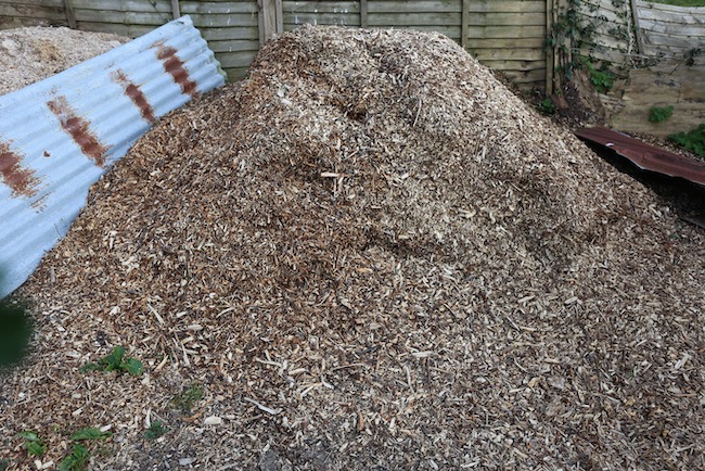 One month old wood chips