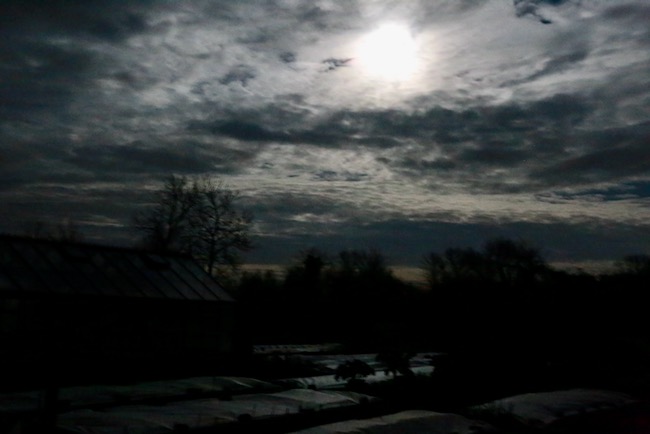 Full moon April garden