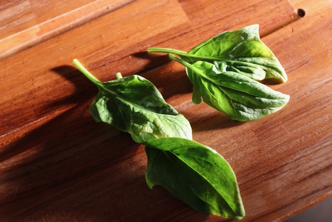 Spinach leaves for sugar test