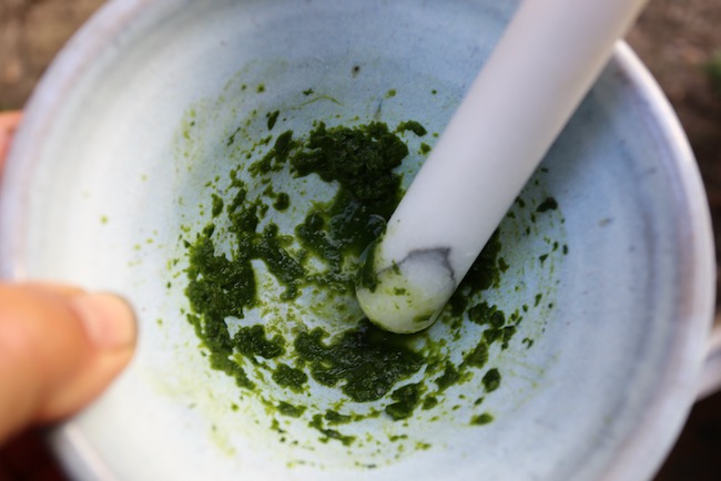 Crush leaves to extract juice