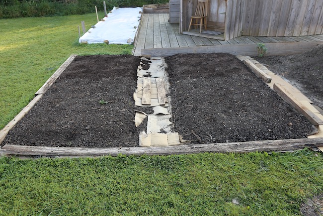 Beds planted to potato