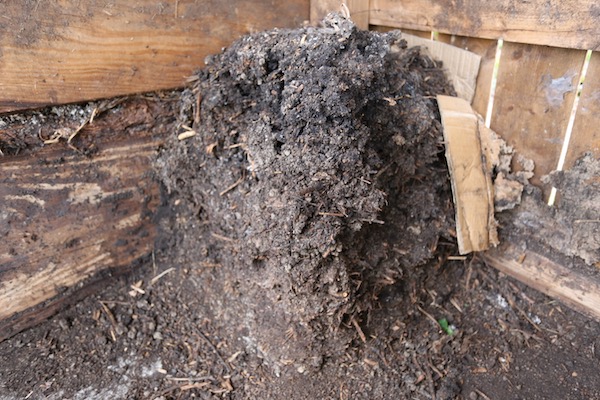 Eight month old compost