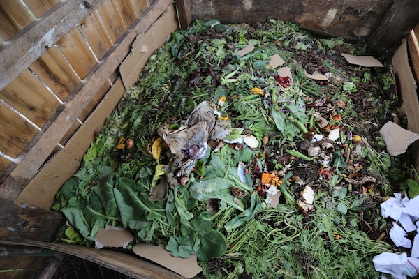 Homeacres current compost heap