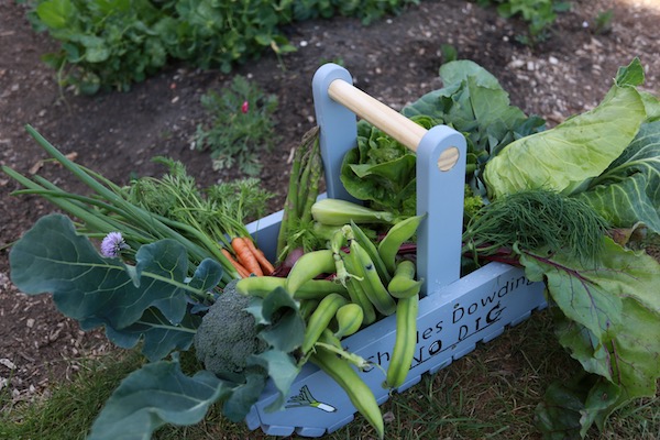 Even more harvests just five days later