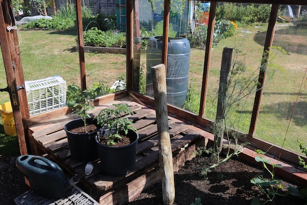 Empty area good for summer propagation