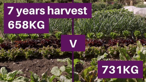 Video comparing dig with no dig